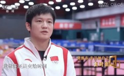 樊振东加盟德甲联赛意在洛杉矶奥运会?资深业内人士:这个可以有